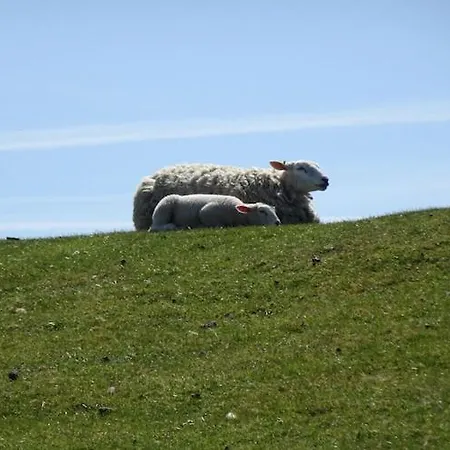 Gray Seal Apartmán