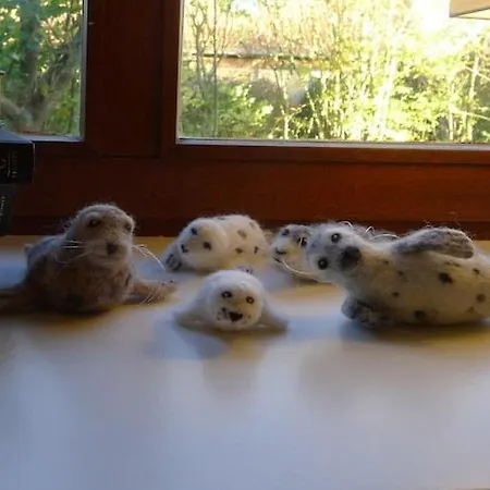 Gray Seal Apartmán